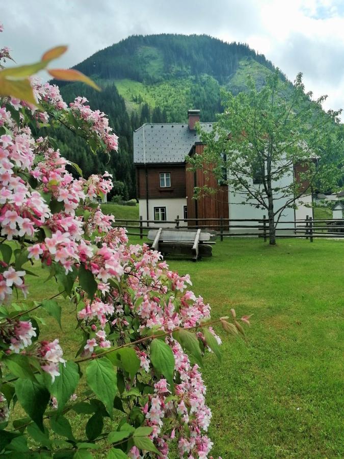 Himmlisch Urlauben St. Nikolai Apartment Sankt Nikolai im Solktal Bagian luar foto