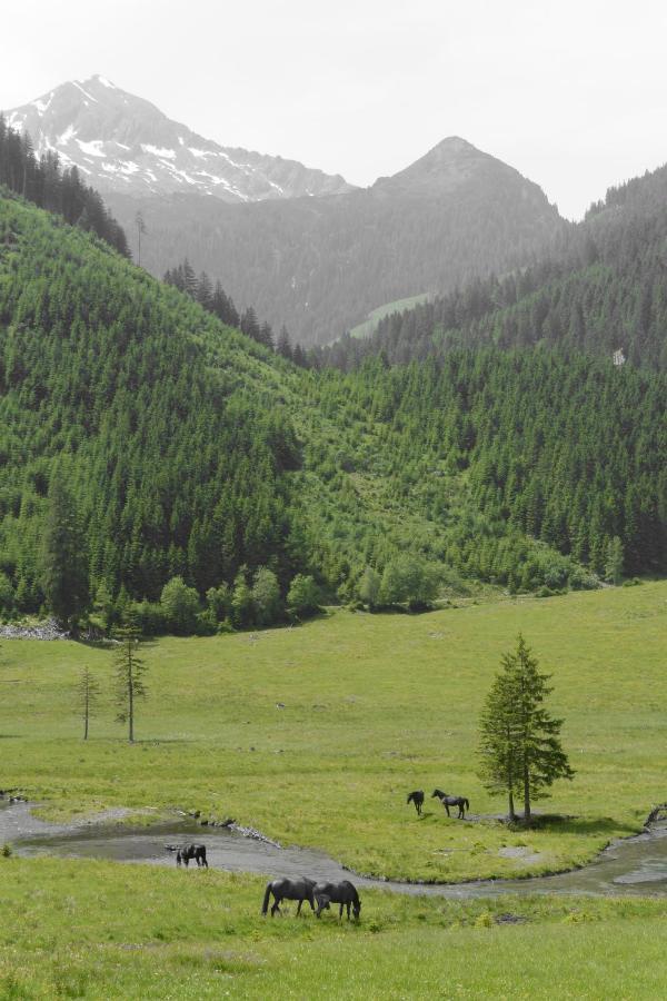 Himmlisch Urlauben St. Nikolai Apartment Sankt Nikolai im Solktal Bagian luar foto